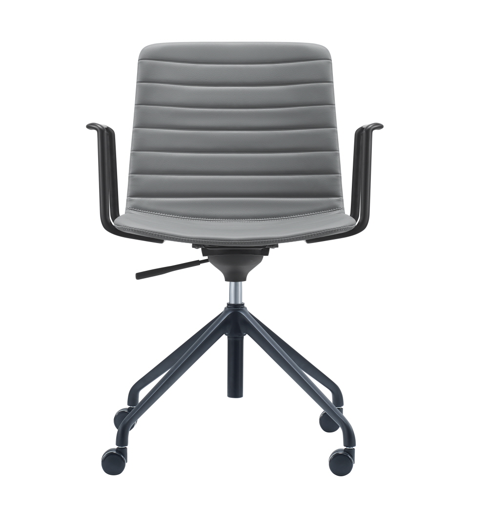 루시드4 /그레이